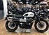 2019 Triumph Street Scrambler for sale 200737309
